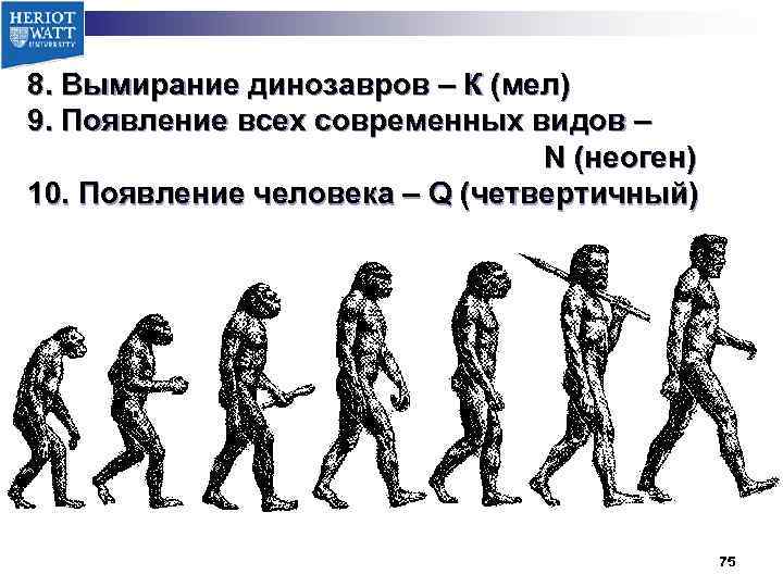 8. Вымирание динозавров – К (мел) 9. Появление всех современных видов – N (неоген)