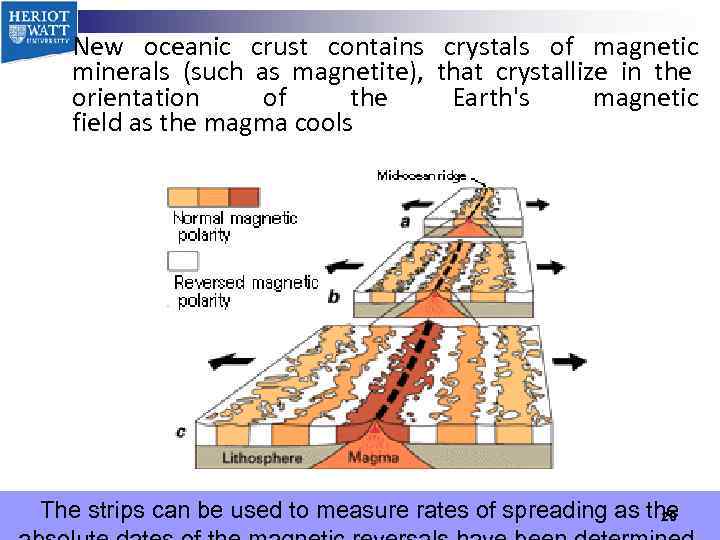 New oceanic crust contains crystals of magnetic minerals (such as magnetite), that crystallize in