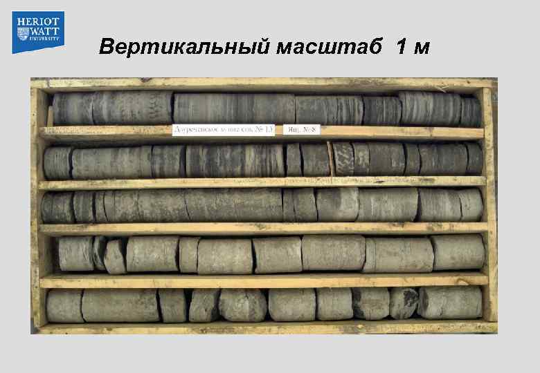 Вертикальный масштаб 1 м 