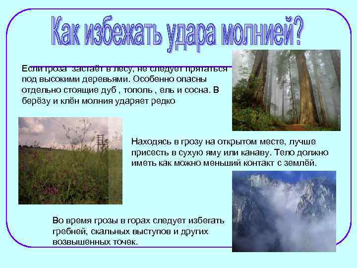 Если гроза застаёт в лесу, не следует прятаться под высокими деревьями. Особенно опасны отдельно