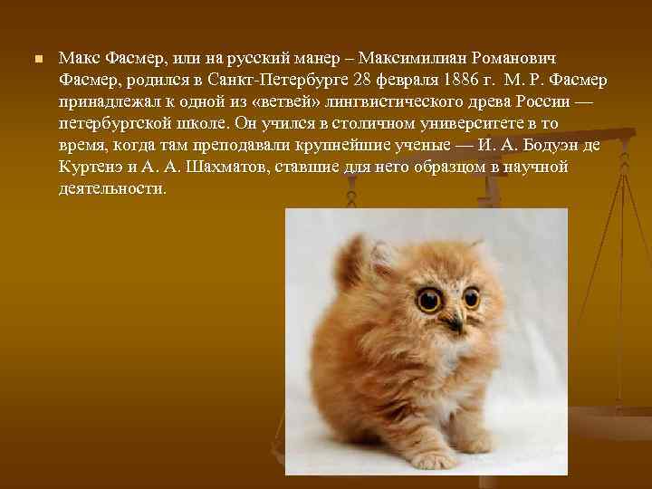 n Макс Фасмер, или на русский манер – Максимилиан Романович Фасмер, родился в Санкт-Петербурге