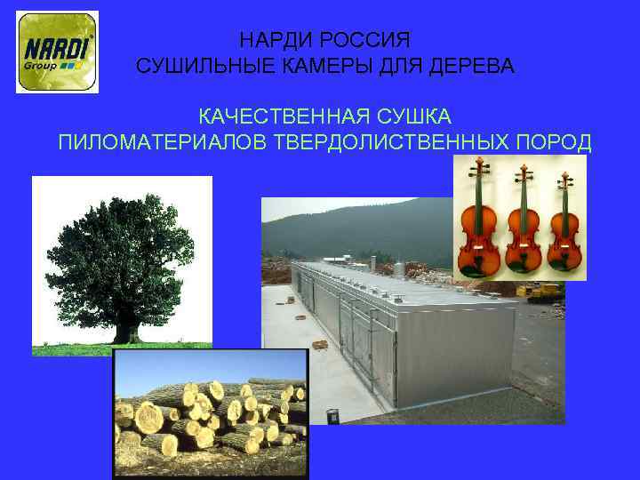 НАРДИ РОССИЯ СУШИЛЬНЫЕ КАМЕРЫ ДЛЯ ДЕРЕВА КАЧЕСТВЕННАЯ СУШКА ПИЛОМАТЕРИАЛОВ ТВЕРДОЛИСТВЕННЫХ ПОРОД 