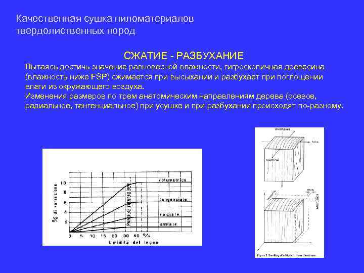 Качественная сушка пиломатериалов твердолиственных пород СЖАТИЕ - РАЗБУХАНИЕ Пытаясь достичь значение равновесной влажности, гигроскопичная