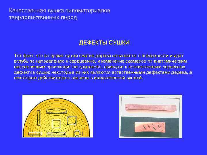 Качественная сушка пиломатериалов твердолиственных пород ДЕФЕКТЫ СУШКИ Тот факт, что во время сушки сжатие