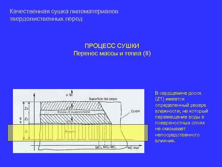 Качественная сушка пиломатериалов твердолиственных пород ПРОЦЕСС СУШКИ Перенос массы и тепла (II) В сердцевине