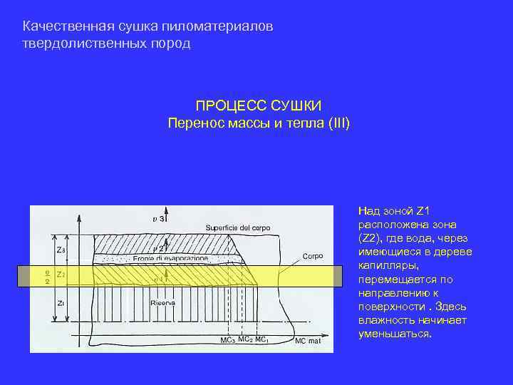 Качественная сушка пиломатериалов твердолиственных пород ПРОЦЕСС СУШКИ Перенос массы и тепла (III) Над зоной
