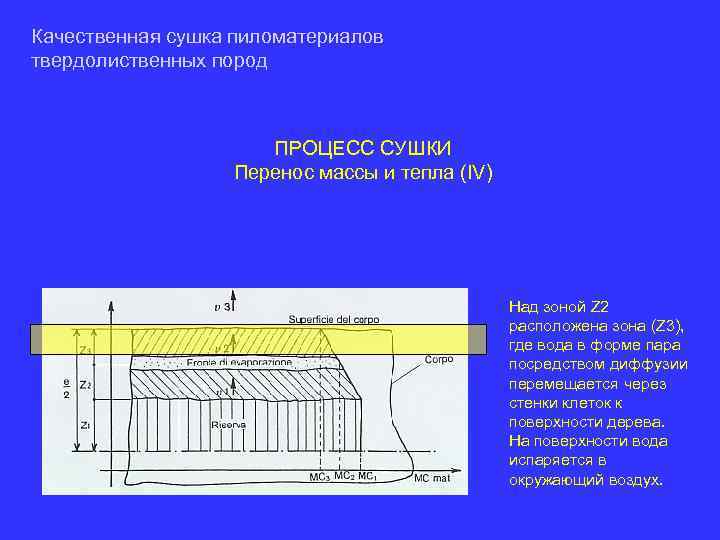 Качественная сушка пиломатериалов твердолиственных пород ПРОЦЕСС СУШКИ Перенос массы и тепла (IV) Над зоной