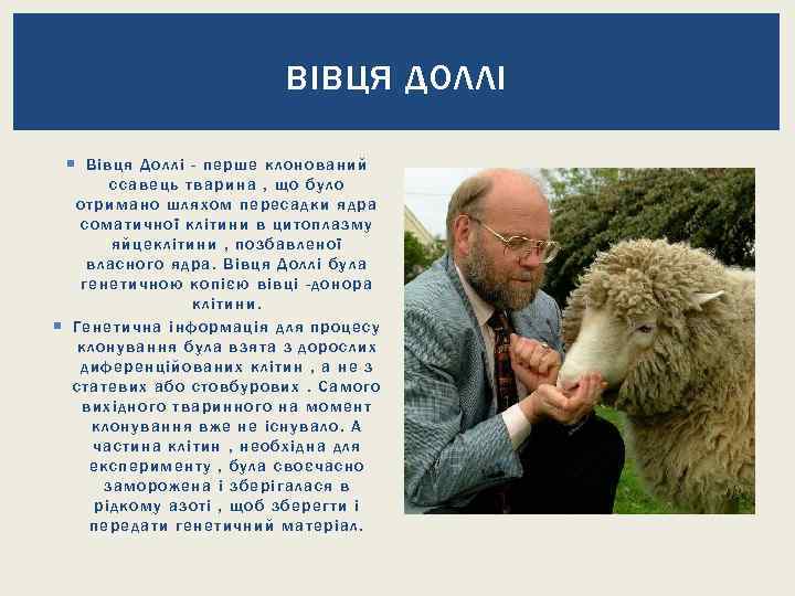 ВІВЦЯ ДОЛЛІ Вівця До ллі - перше клонов аний с савець тварина , що