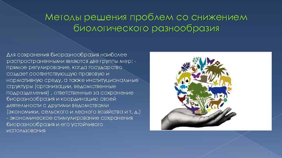 Методы решения проблем со снижением биологического разнообразия Для сохранения биоразнообразия наиболее распространенными являются две