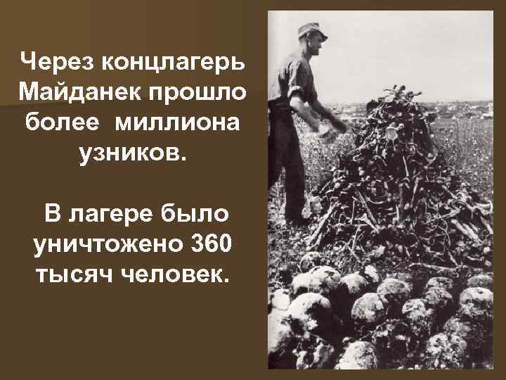 Через концлагерь Майданек прошло более миллиона узников. В лагере было уничтожено 360 тысяч человек.