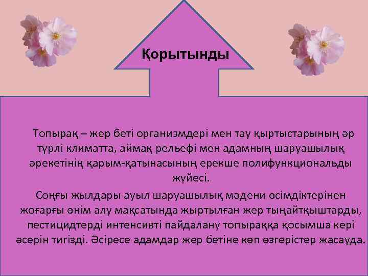 Қорытынды Топырақ – жер беті организмдері мен тау қыртыстарының әр түрлі климатта, аймақ рельефі
