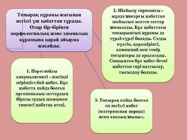 Топырақ кұрамы жағынан негізгі үш қабаттан тұрады. Олар бір-бірінен морфологиялық және химиялық құрамына қарай