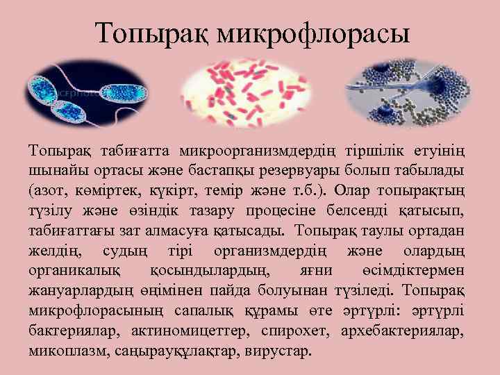 Топырақ микрофлорасы Топырақ табиғатта микроорганизмдердің тіршілік етуінің шынайы ортасы және бастапқы резервуары болып табылады