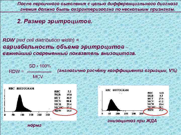 После первичного выявления с целью дифференциального диагноза анемия должна быть охарактеризована по нескольким признакам.