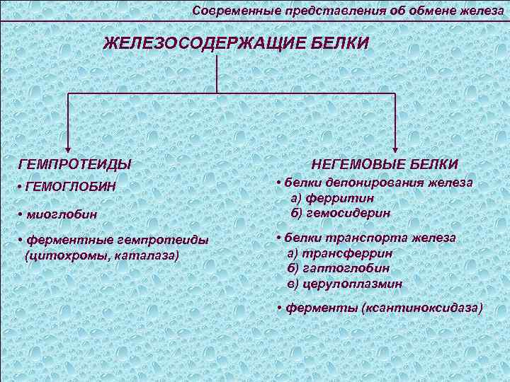 Современные представления об обмене железа ЖЕЛЕЗОСОДЕРЖАЩИЕ БЕЛКИ ГЕМПРОТЕИДЫ • ГЕМОГЛОБИН • миоглобин • ферментные