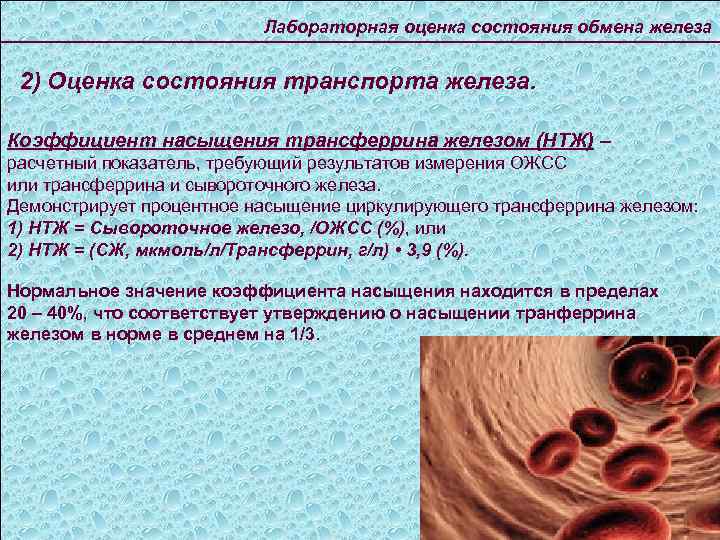 Лабораторная оценка состояния обмена железа 2) Оценка состояния транспорта железа. Коэффициент насыщения трансферрина железом