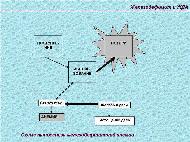 Железодефицит и ЖДА ПОТЕРИ ПОСТУПЛЕНИЕ ИСПОЛЬЗОВАНИЕ Синтез гема АНЕМИЯ Железо в депо Истощение депо