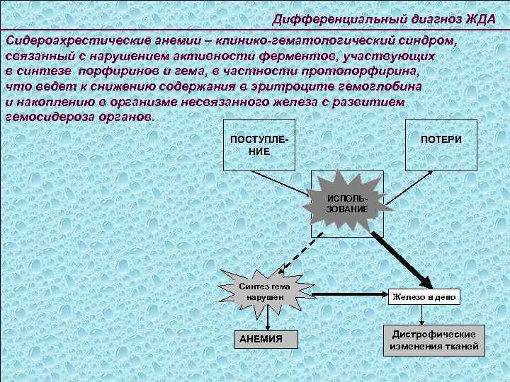 Дифференциальный диагноз ЖДА Сидероахрестические анемии – клинико-гематологический синдром, связанный с нарушением активности ферментов, участвующих