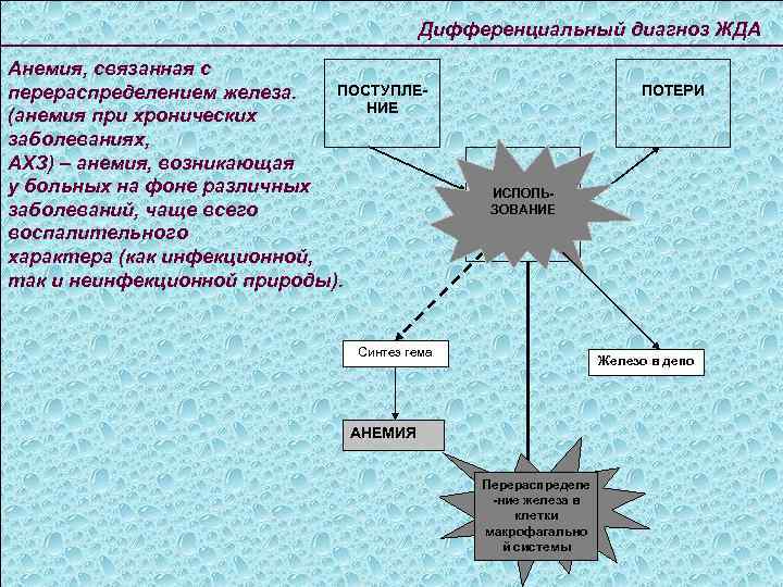 Дифференциальный диагноз ЖДА Анемия, связанная с ПОСТУПЛЕперераспределением железа. НИЕ (анемия при хронических заболеваниях, АХЗ)