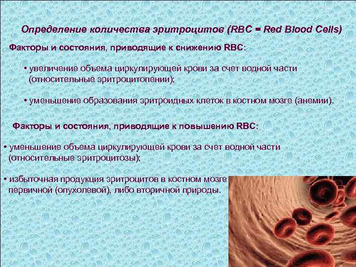 Определение количества эритроцитов (RBC = Red Blood Cells) Факторы и состояния, приводящие к снижению