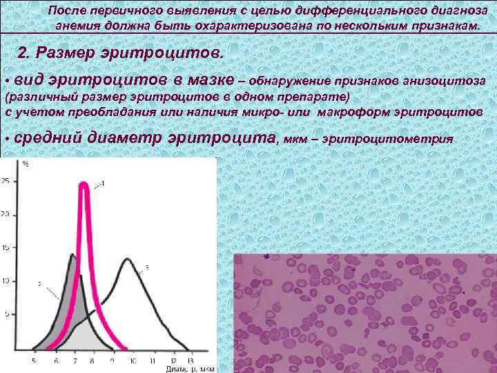 После первичного выявления с целью дифференциального диагноза анемия должна быть охарактеризована по нескольким признакам.