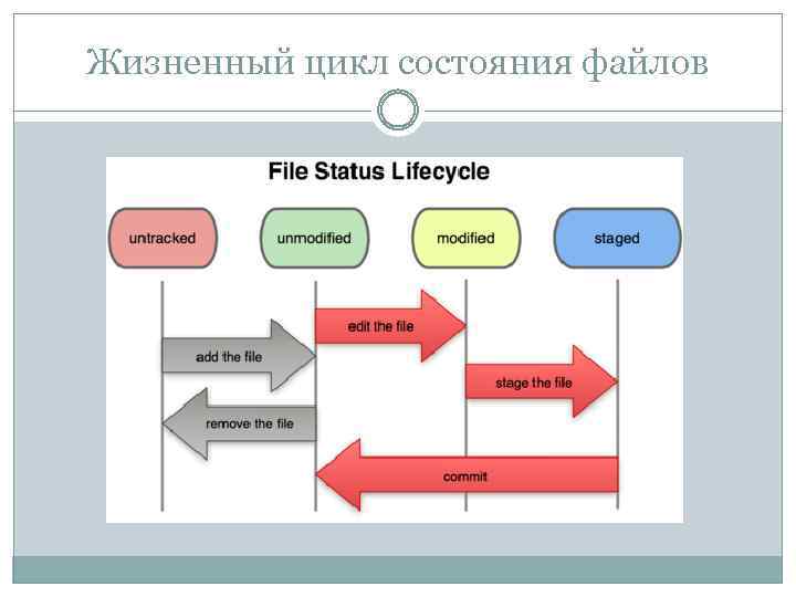 Жизненный цикл состояния файлов 