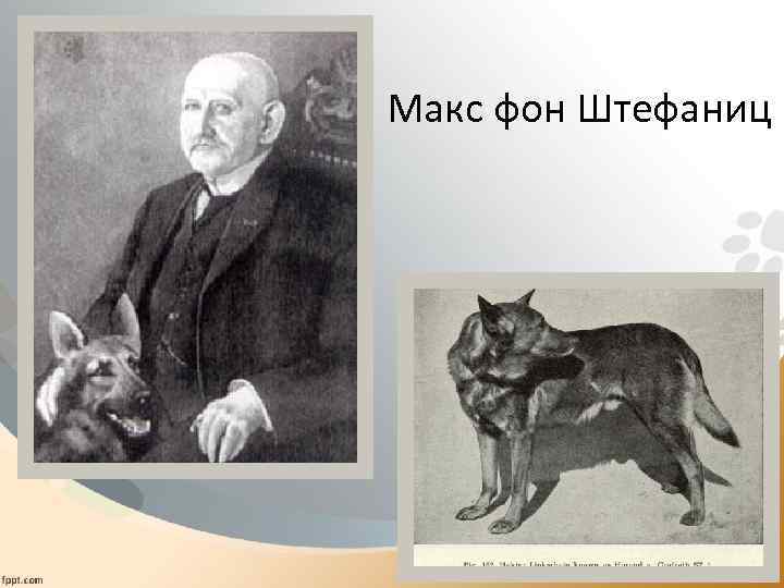 Макс фон Штефаниц 