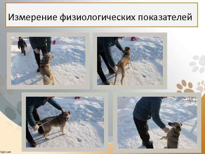  Измерение физиологических показателей 