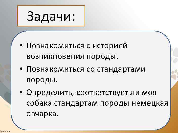 Задачи: • Познакомиться с историей возникновения породы. • Познакомиться со стандартами породы. • Определить,