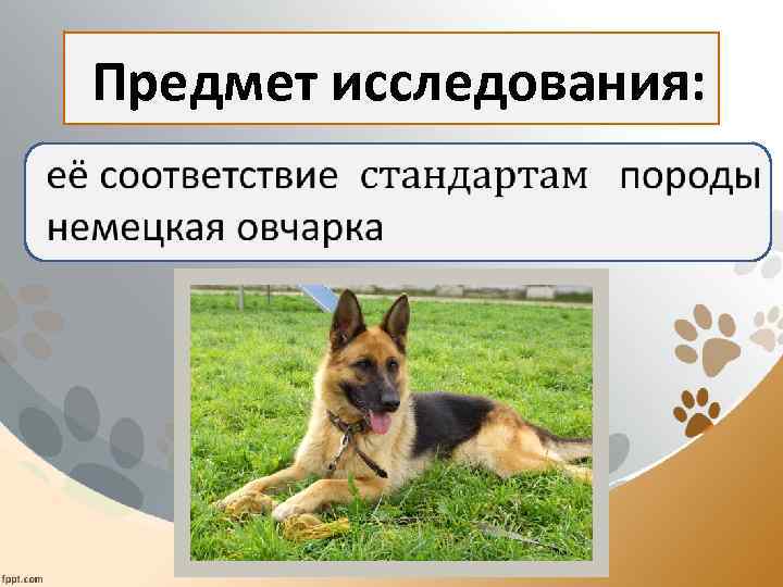  Предмет исследования: • 