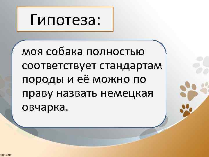 Гипотеза: моя собака полностью соответствует стандартам породы и её можно по праву назвать немецкая