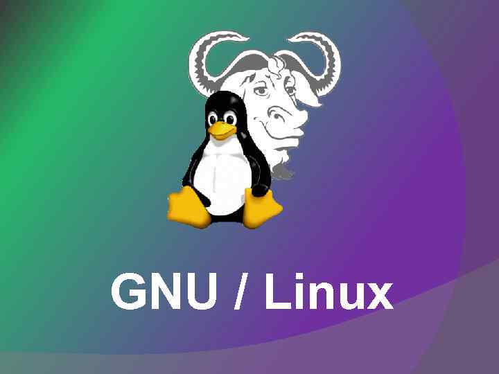 GNU / Linux 