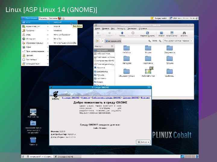 Linux [ASP Linux 14 (GNOME)] 