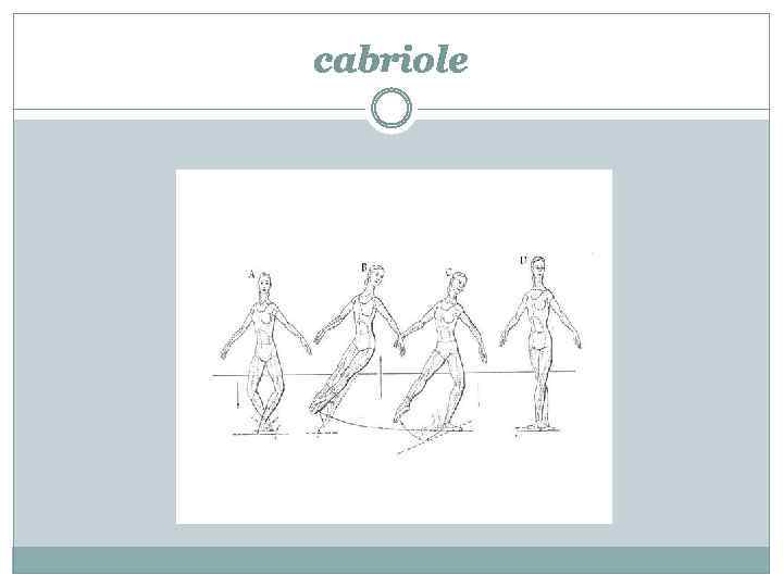 cabriole 