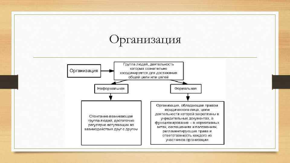 Организация 