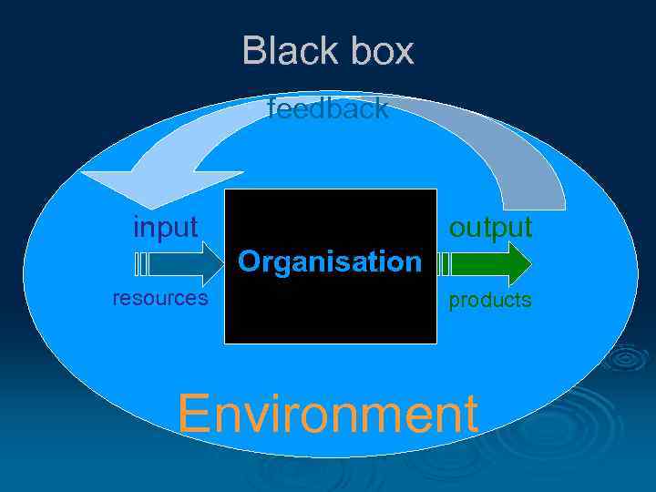 Black box feedback input output Organisation resources products Environment 