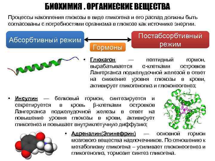 Биохимия что это