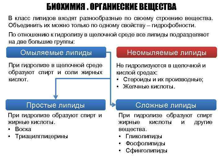 БИОХИМИЯ. ОРГАНИЕСКИЕ ВЕЩЕСТВА В класс липидов входят разнообразные по своему строению вещества. Объединить их