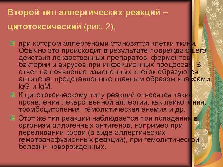 Второй тип аллергических реакций – цитотоксический (рис. 2), при котором аллергенами становятся клетки ткани.