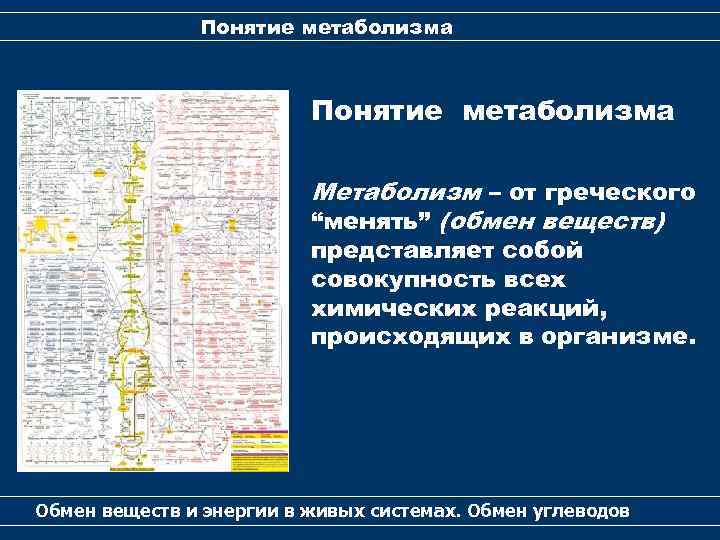 Понятие метаболизма Метаболизм – от греческого “менять” (обмен веществ) представляет собой совокупность всех химических