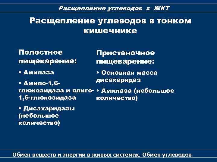 Расщепление углеводов в ЖКТ Расщепление углеводов в тонком кишечнике Полостное пищеварение: Пристеночное пищеварение: •