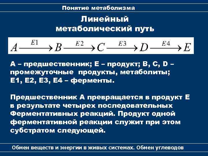 Понятие метаболизма Линейный метаболический путь А – предшественник; Е – продукт; В, С, D