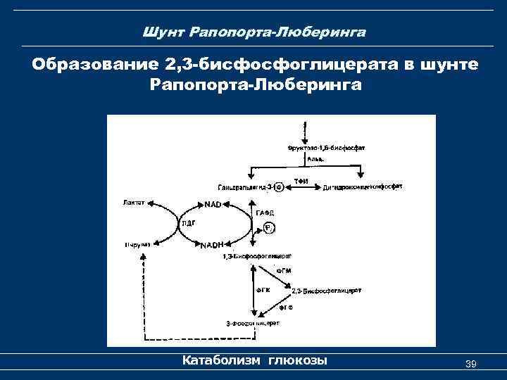 Шунт Рапопорта-Люберинга Образование 2, 3 -бисфосфоглицерата в шунте Рапопорта-Люберинга Катаболизм глюкозы 39 