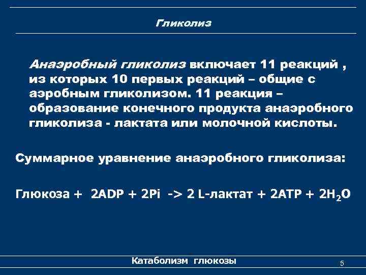 Гликолиз Анаэробный гликолиз включает 11 реакций , из которых 10 первых реакций – общие