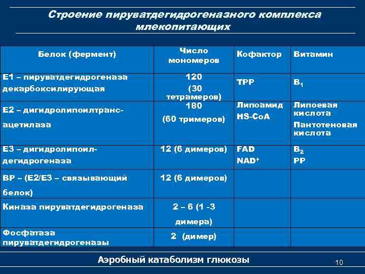 Строение пируватдегидрогеназного комплекса млекопитающих Белок (фермент) Е 1 – пируватдегидрогеназа декарбоксилирующая Е 2 –