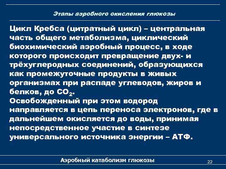 Этапы аэробного окисления глюкозы Цикл Кребса (цитратный цикл) – центральная часть общего метаболизма, циклический
