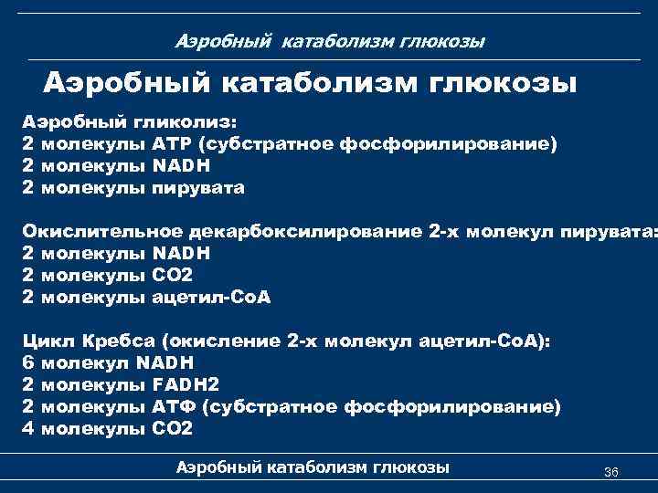 Аэробный катаболизм глюкозы Аэробный гликолиз: 2 молекулы АТР (субстратное фосфорилирование) 2 молекулы NADH 2