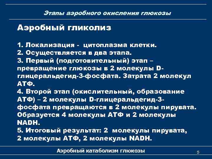 Обеспечивает аэробное окисление углеводов