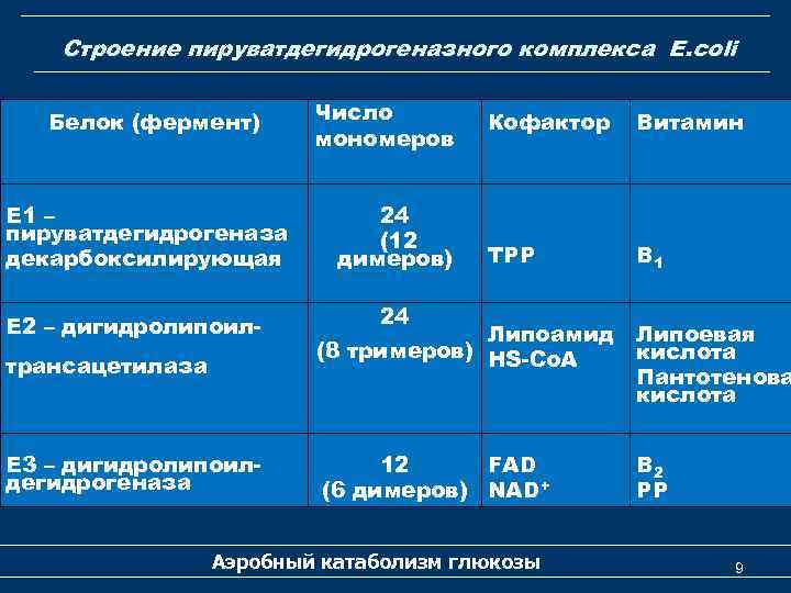 Строение пируватдегидрогеназного комплекса Е. coli Белок (фермент) Е 1 – пируватдегидрогеназа декарбоксилирующая Е 2
