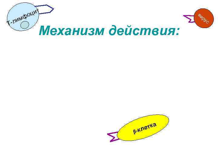 ви мф -ли Т цит о ру Механизм действия: ка ет -кл с 